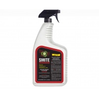 Smite-Spray-Bottle