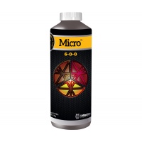 1-Qt---Micro